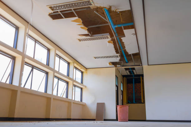 Best Local water damage restoration  in Blue Ridge, AL