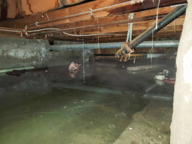 Best Commercial water damage restoration  in Blue Ridge, AL