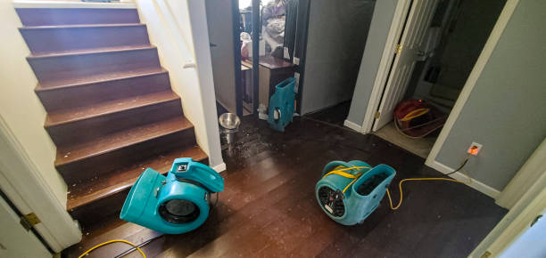 Sewage cleanup and water damage restoration in AL