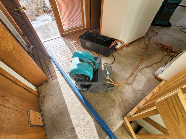 Best Carpet water damage restoration  in Blue Ridge, AL