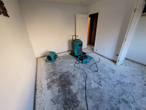 Best Water damage restoration near me  in Blue Ridge, AL