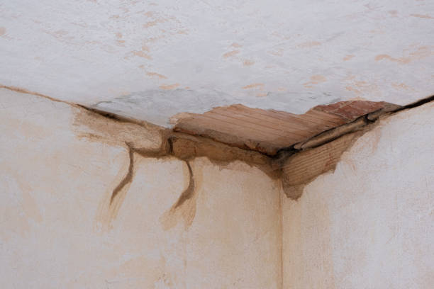 Best Water damage restoration process  in Blue Ridge, AL