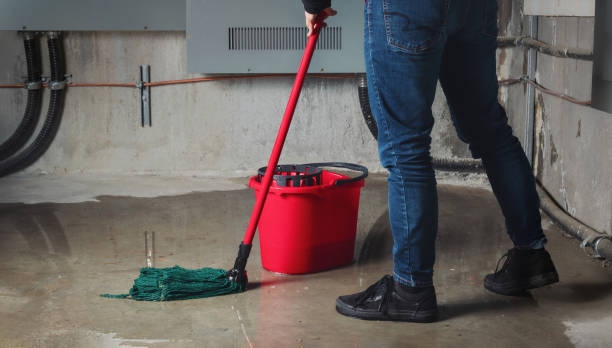 Best Flood restoration services  in Blue Ridge, AL