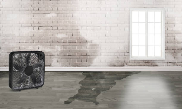 Best Ceiling water damage repair  in Blue Ridge, AL