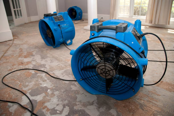 Best Carpet water damage restoration  in Blue Ridge, AL