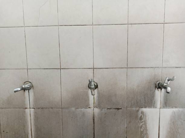 Best Water damage restoration near me  in Blue Ridge, AL