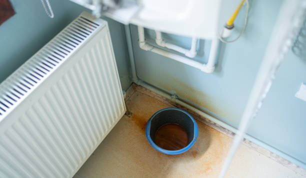 Best Water damage contractors near me  in Blue Ridge, AL