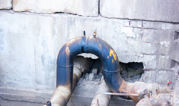 Best Mold removal after water damage  in Blue Ridge, AL