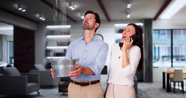 Best 24/7 water damage repair  in Blue Ridge, AL