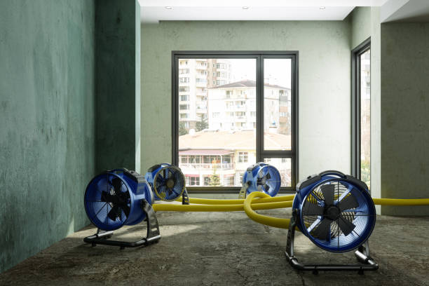 Best Emergency water damage restoration  in Blue Ridge, AL