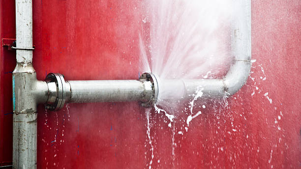 Best Sewage cleanup and water damage restoration  in Blue Ridge, AL