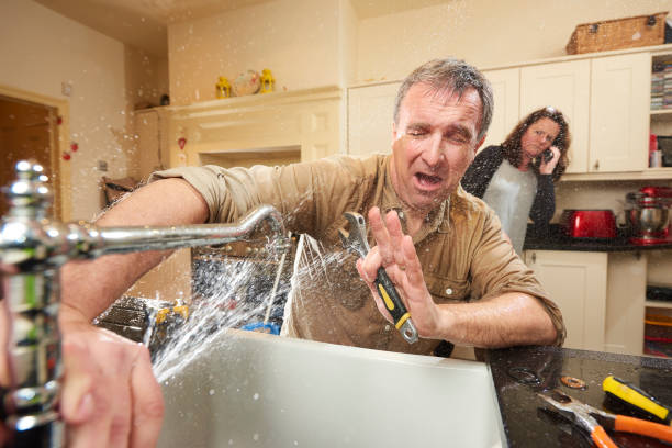 Best Flooded house restoration  in Blue Ridge, AL
